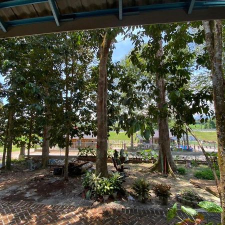 Homestay Dusun Ana Balun Slim River Exterior photo